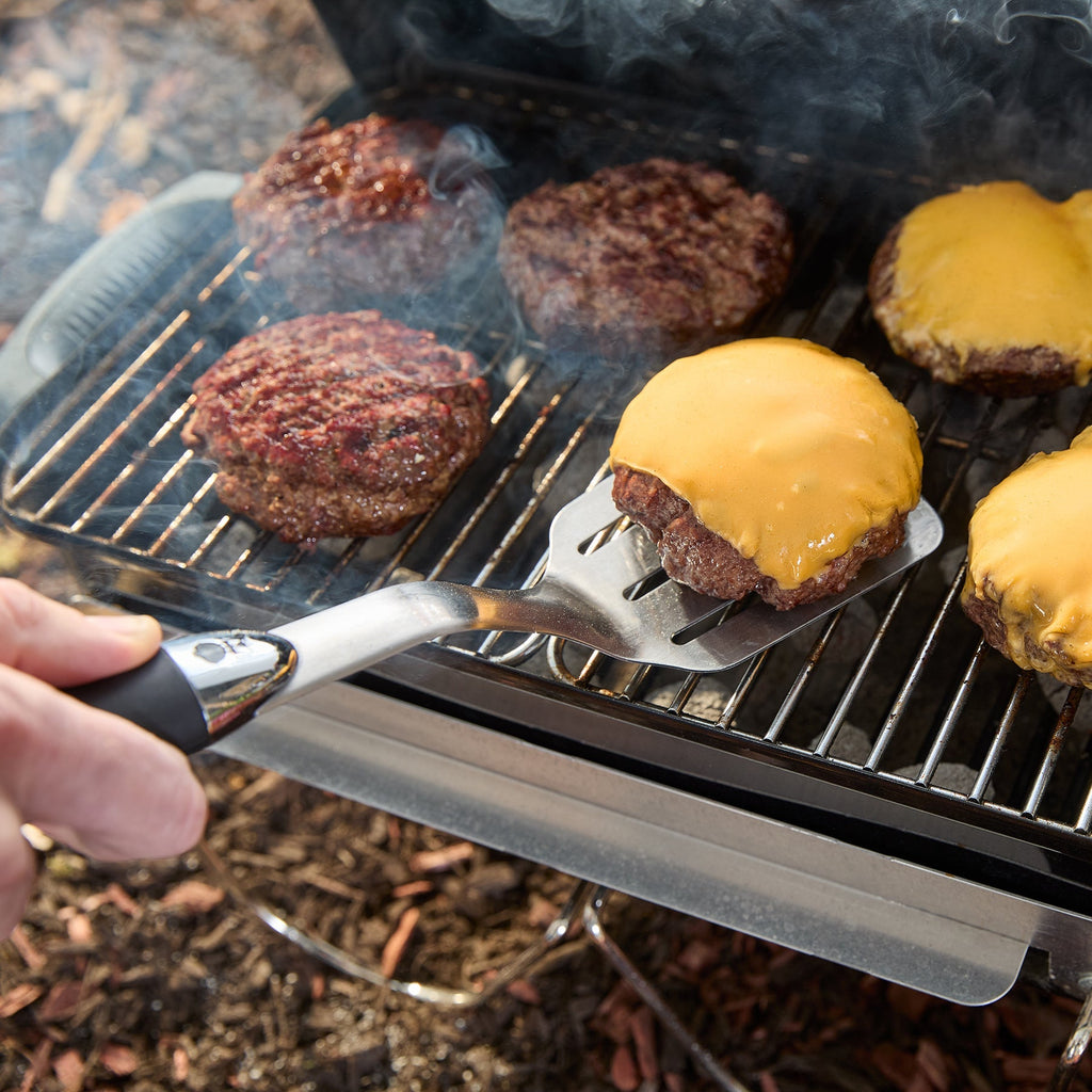 Weber Go-Anywhere® Charcoal Grill
