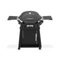 Weber Q 2800N+ Gas Grill with Stand
